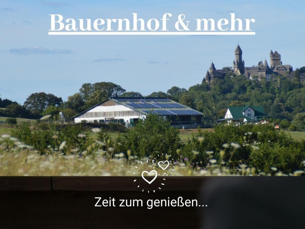 Kleine Einzigartige Ferienwohnung Auf Dem Bauernhof, Direkt In Der Natur Mit Blick Auf Schloss Braunfels Exterior photo