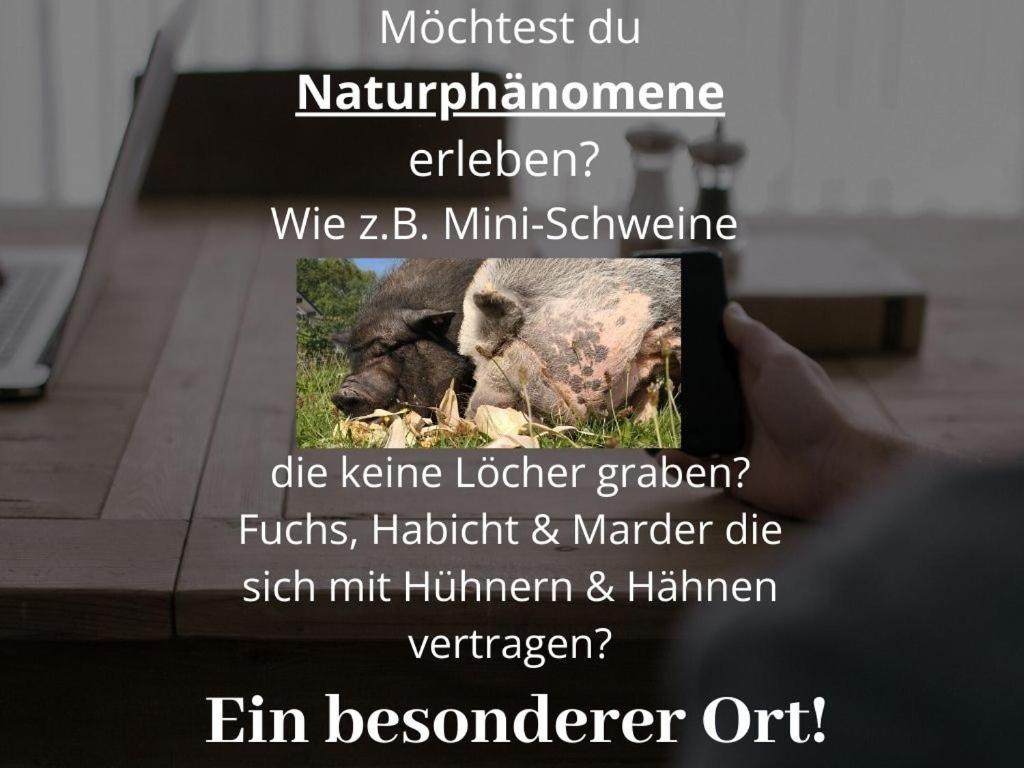Kleine Einzigartige Ferienwohnung Auf Dem Bauernhof, Direkt In Der Natur Mit Blick Auf Schloss Braunfels Exterior photo